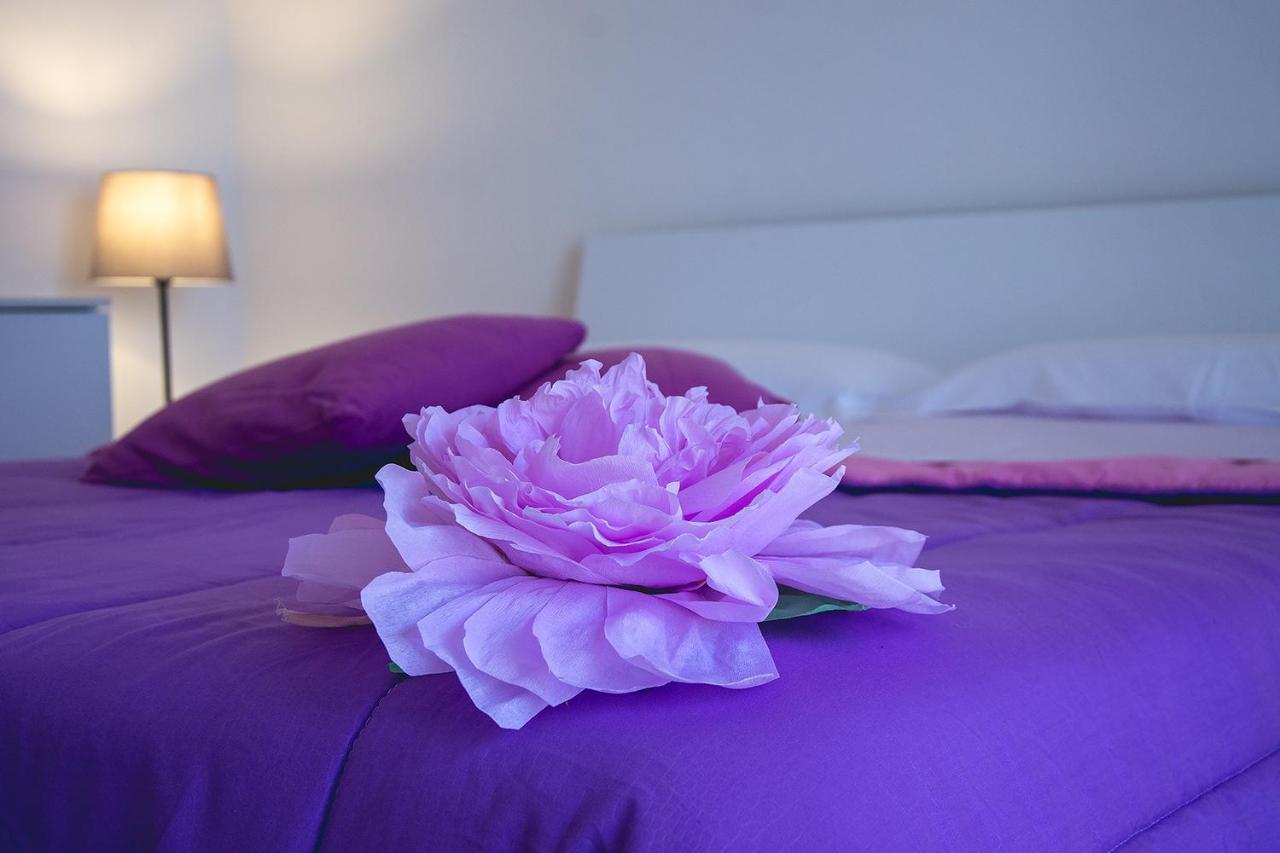 B&B A Casa Di Amici Касерта Екстериор снимка